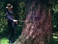 Melbourne, Australia 1930s in color [60fps, Remastered] w/sound design added