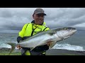 Kingfish | Caught on sea garfish