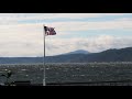 Bald Eagle  Flies Past American Flag