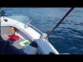 Port Stephens Spin tackle small black marlin 2023