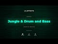 Summer Vibes Vol. 2 - Jungle & Drum and Bass