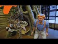 Blippi Goes Inside a Volcano! Educational Videos for Kids