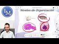 Curso Inductivo | Facultad de Medicina - Microscopía y Tecnica Histológica.