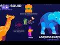 Universe Size Comparison (App made by Kurzgesagt)(MOST VIEWED VIDEO)