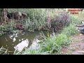 [#66] Watch the Floating Fish That's Too Attractive_Cau Ca Ro Dong | TRUNGPLEIKUFISHING.