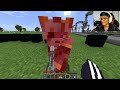 Why I Killed a MAFIA in this Minecraft SMP!