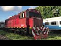 Trenes Diesel Linea Roca 2019 -Compilado PARTE 1-