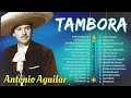 Antonio Aguilar 2024 -- Un Puño De Tierra -- Grandes Exitos Canciones -- 35 Sus Mejores Rancheras
