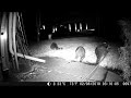 Masked Prowlers seen on Hillside Ave