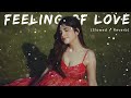 Feeling Of Love Non Stop Mashup [ Perfectly Slowed ] Mind Relaxing Lofi Songs