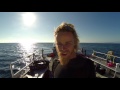 GoPro: The Search for the Blue Whale - A Prelude to 'Racing Extinction'