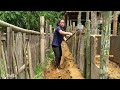How to Earth Wall Construction - Stop The Pigs From Destroying The Garden - Ly thi Ca