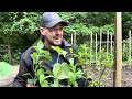 Off Grid Green House Find - Should I Take it On | Gardening In Scotland 🏴󠁧󠁢󠁳󠁣󠁴󠁿