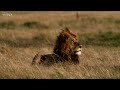 4K African Wildlife: Lower Zambezi National Park - Scenic Wildlife Film With Real Sounds
