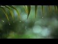 Relaxing Music & Rain Sounds - Beautiful Piano Music, Background Music, Sleep Music • You & Me