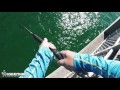 Sheepshead fishing at Okaloosa pier