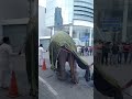 Majestic giants heading to Gangaramaya Temple - Festive vibes in Sri Lanka's Navam Full Moon PoyaDay