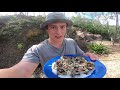 EP 10 - RAW vs GOURMET - How to make OYSTERS taste good! | Catch n Fry