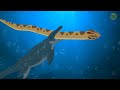 Sea Lizard VS Biggest Snake