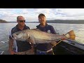 IFISH Hawkesbury Mulloway