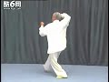 Sun Zhijun  XingYiQuan 3