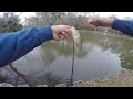 Crappie Fishing In MY BACKYARD POND! ( 9 fish caught )