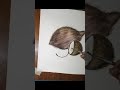 Coconut  Painting । how to paint coconut ।