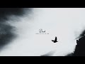 Lil R Jab x Dealus - Dust [Official Visualizer]
