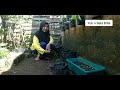 AYUK BERKEBUN,PINDAH TANAM CAISIM DIKEBUN MINI/Vlog Berkebun@Yuli n Bela Billa