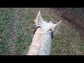 Videoing my trail ride with Horse, my Whacky Walker