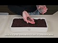 Preparing Coco Coir Bricks for Microgreens & Gardening: Quick Guide