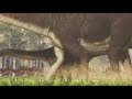 amphicoelias najcięższe dinozaury sqjxmjqgdx g8h6yd