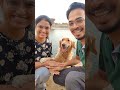 The viral handshake trend with my dog ❤️ #trending#viral #shorts #puppy #cute #funny