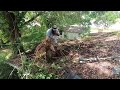 AFTER his PARENTS PASSED AWAY he WATCHED the HOUSE HE BUILT with his FATHER be RECLAIMED by NATURE