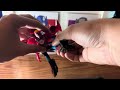 Transformers Robot In Disguise (2015) Warrior Class Windblade (Throwback Thursday Review)