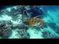 4K Aquarium Video [Relaxing Music] 🐠 Sea Animals & Coral reaf & Tropical fishes | for study, sleep