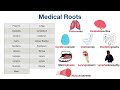 Medical Terminology MADE EASY: Root Words [Nursing, Students, Coding]