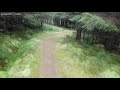 Osprey trail, Kielder