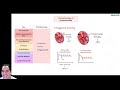 Arrhythmias | Clinical Medicine