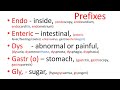 Medical terms - common prefixes