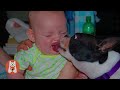 Videos Graciosos de Perros y Bebés 😂 Bebés y Cachorros Creciendo Juntos #5 | Espanol Funniest Videos