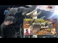മദം പൊട്ടിയ ആനയെ തളയ്ക്കുവാൻ കഴിയാതെ വന്നപ്പോൾ  വെടിവെച്ചു കൊnnu | Elephant video malayalam