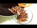 Without Oil How to Perfect Fry Onion   2023 | Oil Free Crispy Tali Hui Pyaz Recipe.