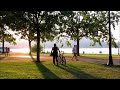 Nature's Serenity: 30 Minutes of Park Bliss for Study, Relaxation, and Focus