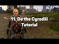 Maya's Quick Start Guide to ESO