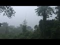 Relaxing Sound - Rainforest Rain