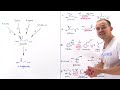 Metabolism of Amino Acids to Ketoglutarate