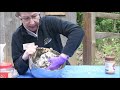 Wild Wednesday: Making Suet