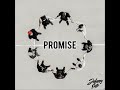 Promise