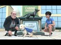 Pip | A Short Animated Film by Dogs Inc